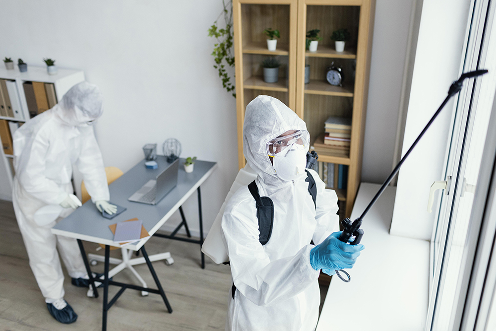 10 - https://propestone.com | Propest One ผู้เชี่ยวชาญบริการกำจัดแมลงและสัตว์พาหะครบวงจร แก้ปัญหาปลวก มด หนู ยุง แมลงสาบ สำหรับบ้าน บริษัท และโรงงานอุตสาหกรรม ด้วยมาตรฐานความปลอดภัยสูงสุด 10 - https://propestone.com | Propest One ผู้เชี่ยวชาญบริการกำจัดแมลงและสัตว์พาหะครบวงจร แก้ปัญหาปลวก มด หนู ยุง แมลงสาบ สำหรับบ้าน บริษัท และโรงงานอุตสาหกรรม ด้วยมาตรฐานความปลอดภัยสูงสุด