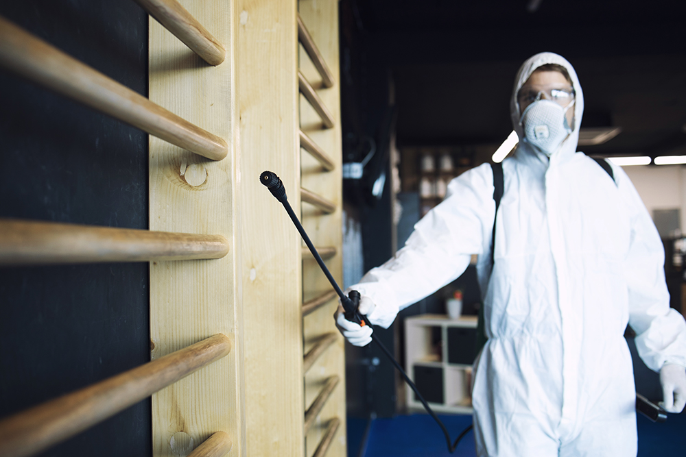 9 - https://propestone.com | Propest One ผู้เชี่ยวชาญบริการกำจัดแมลงและสัตว์พาหะครบวงจร แก้ปัญหาปลวก มด หนู ยุง แมลงสาบ สำหรับบ้าน บริษัท และโรงงานอุตสาหกรรม ด้วยมาตรฐานความปลอดภัยสูงสุด 9 - https://propestone.com | Propest One ผู้เชี่ยวชาญบริการกำจัดแมลงและสัตว์พาหะครบวงจร แก้ปัญหาปลวก มด หนู ยุง แมลงสาบ สำหรับบ้าน บริษัท และโรงงานอุตสาหกรรม ด้วยมาตรฐานความปลอดภัยสูงสุด